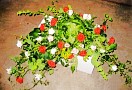 Autoschmuck: Zum Vergr&ouml;&szlig;ern bitte auf das Foto klicken.