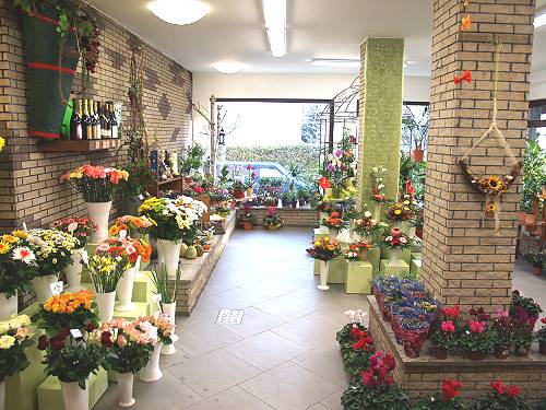 Detailfoto aus dem Verkaufsraum unseres Blumengeschäfts