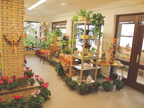 Detailfoto aus dem Verkaufsraum unseres Blumengeschäfts